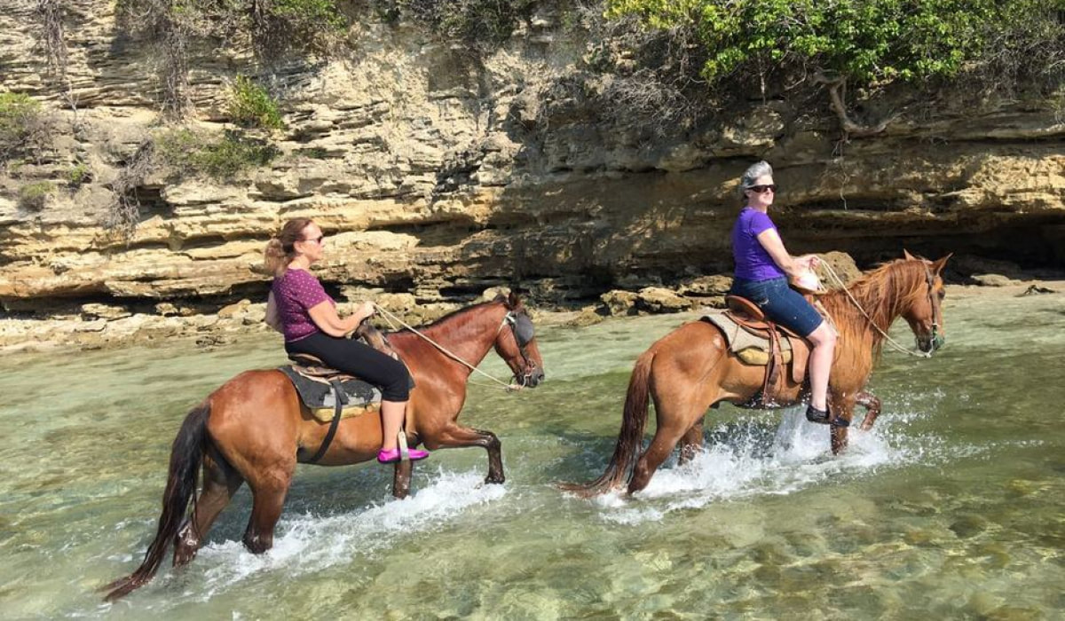 Amber Cove Horeseback Riding Excursion